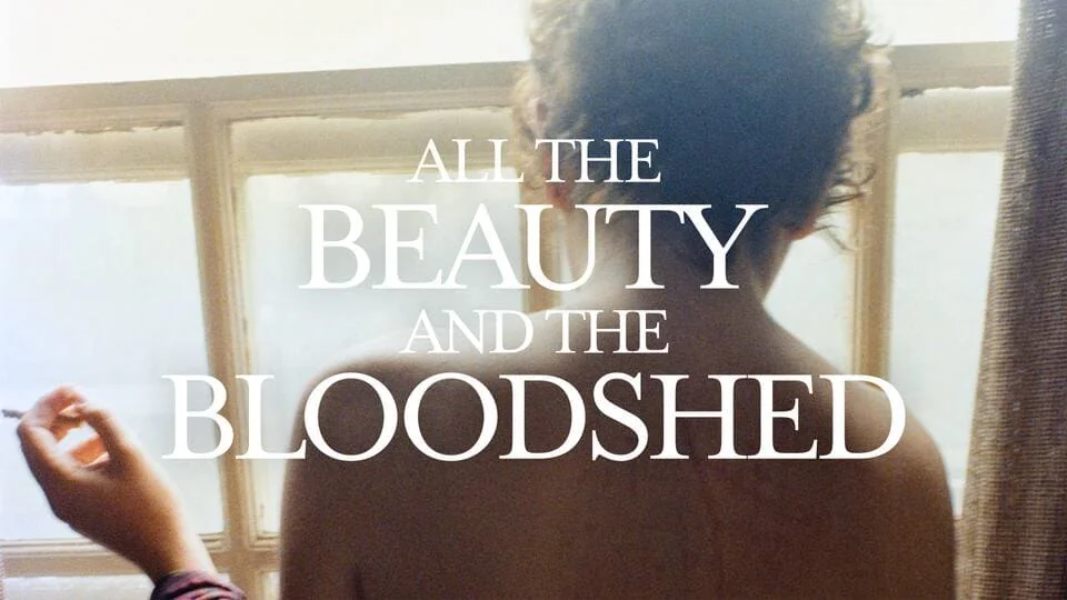 All the Beauty and the Bloodshed