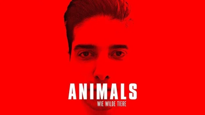 Animals