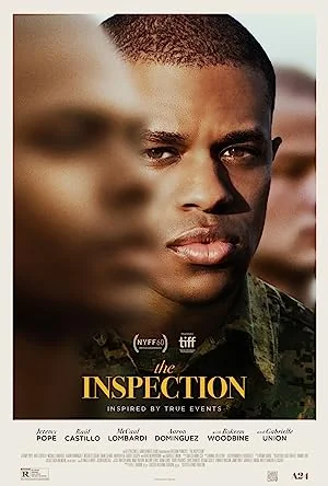 A Inspeção